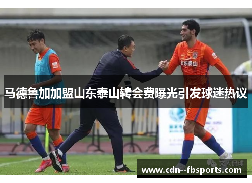 马德鲁加加盟山东泰山转会费曝光引发球迷热议